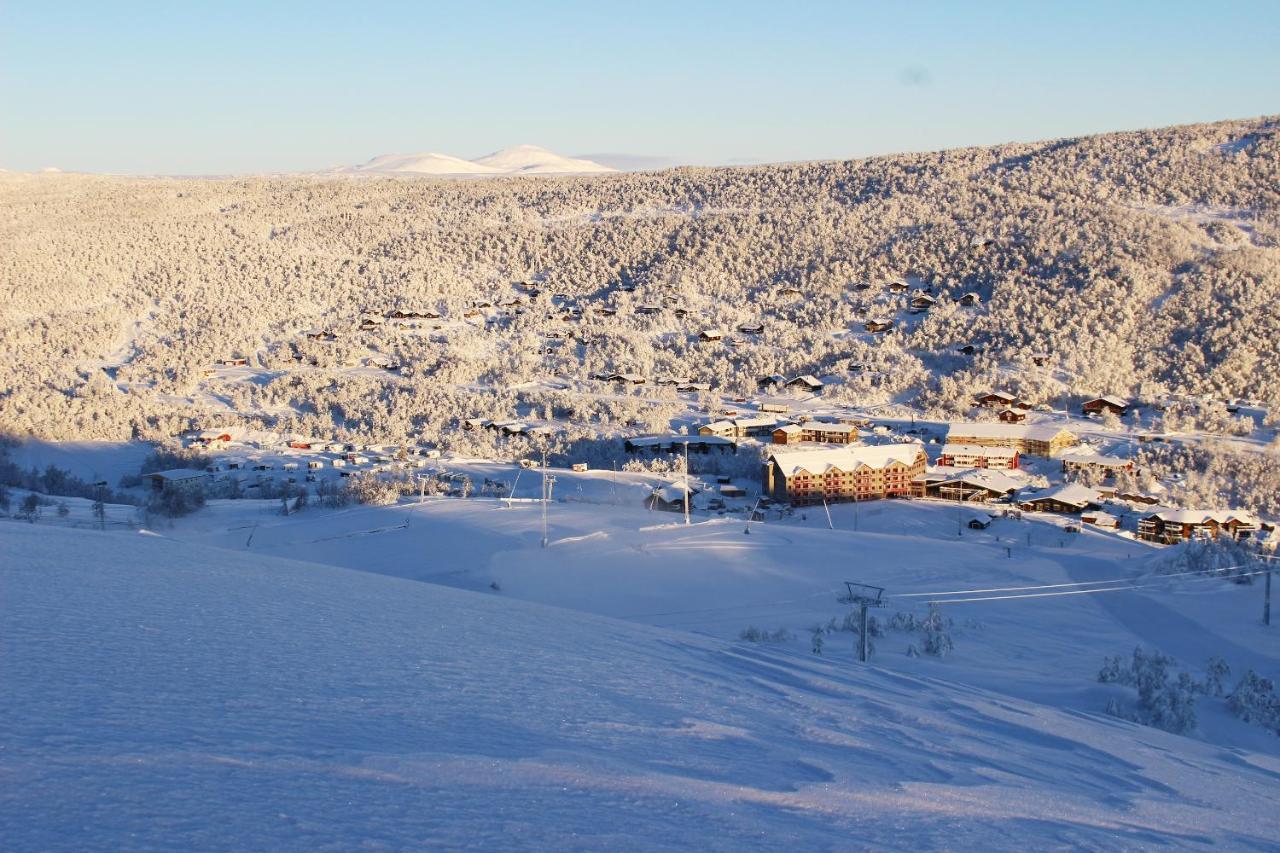 Ski Lodge Taenndalen Buitenkant foto
